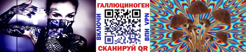 закладки  Баймак  Псилоцибиновые грибы MAGIC MUSHROOMS 