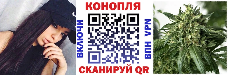 Бошки Шишки планчик  Баймак 